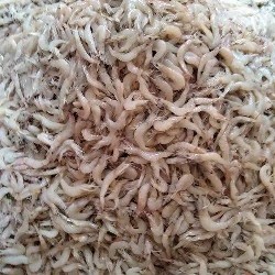সবজি/গুড়া চিংড়ি
