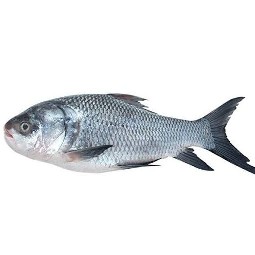 কাতলা মাছ বড়