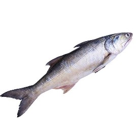 স্যালমন/তাইল্লা মাছ বড়